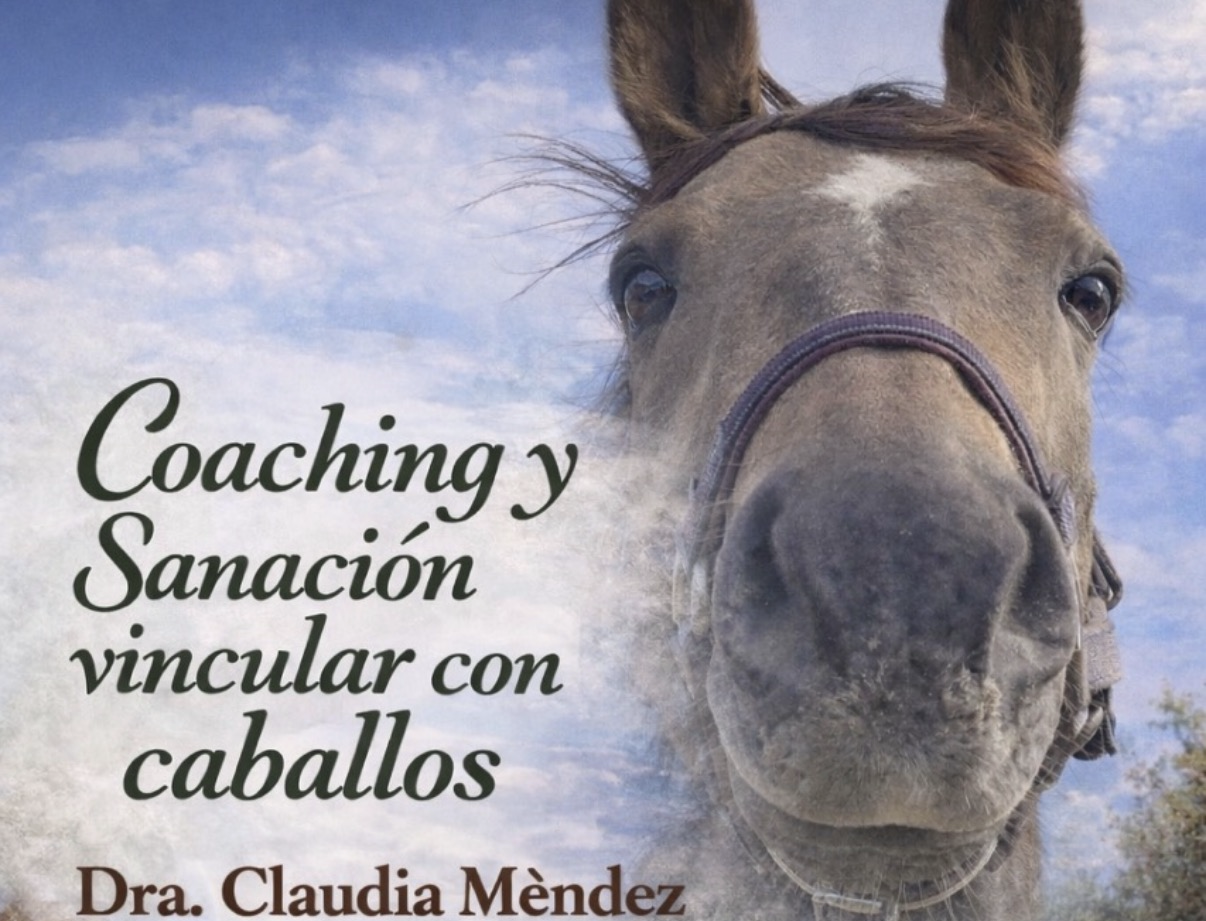 Coaching y Sanación Vincular con Caballos